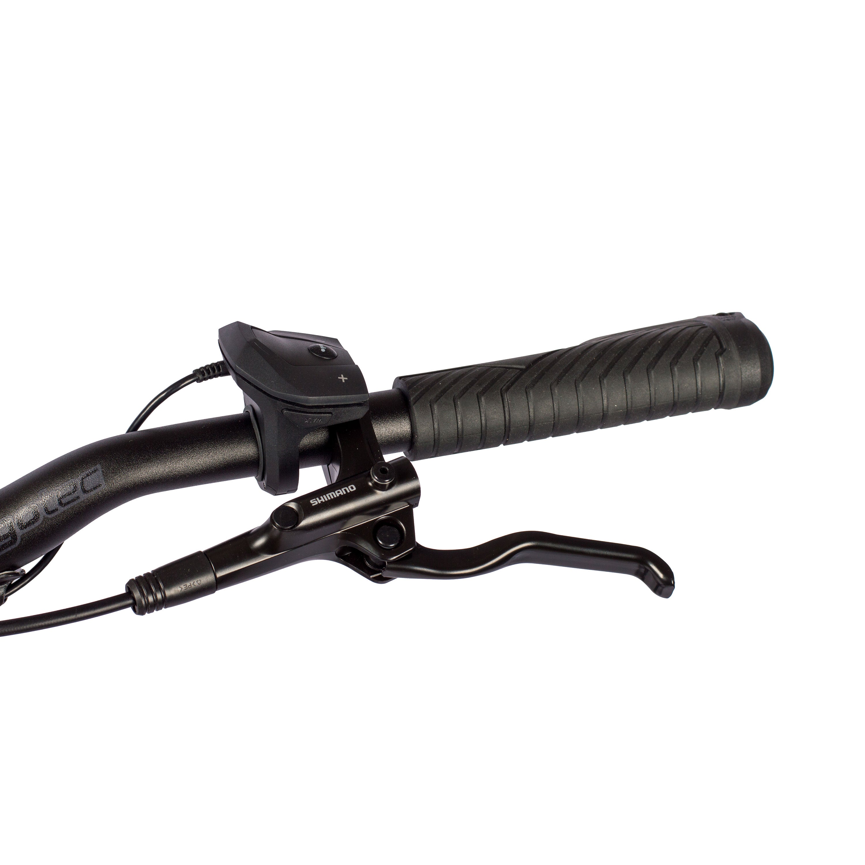 VTronBoschRDLady2024_3000_12Y0rBu23RNumGA