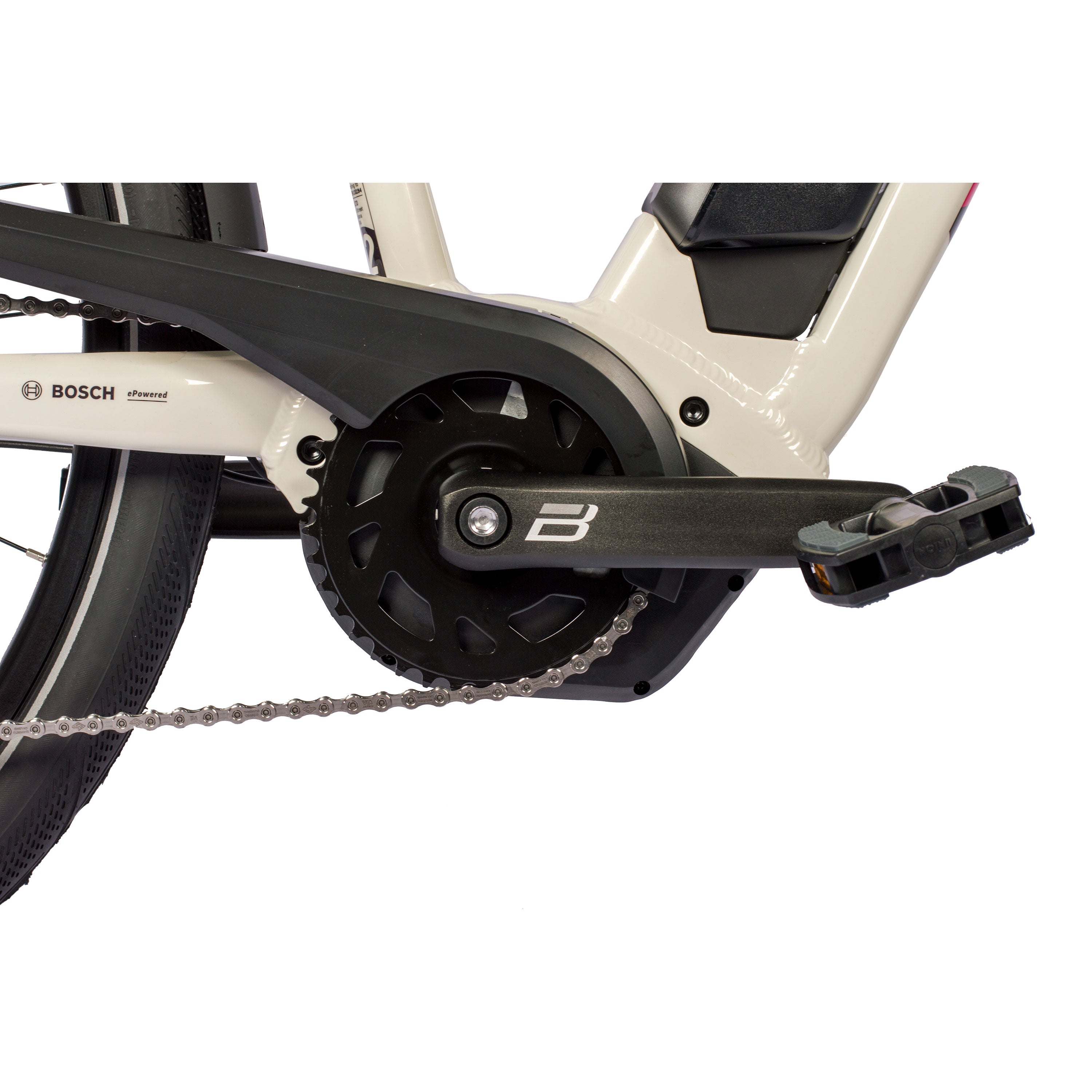 VTronBoschRDLady2024_3000_6NghDPD9mdcti6