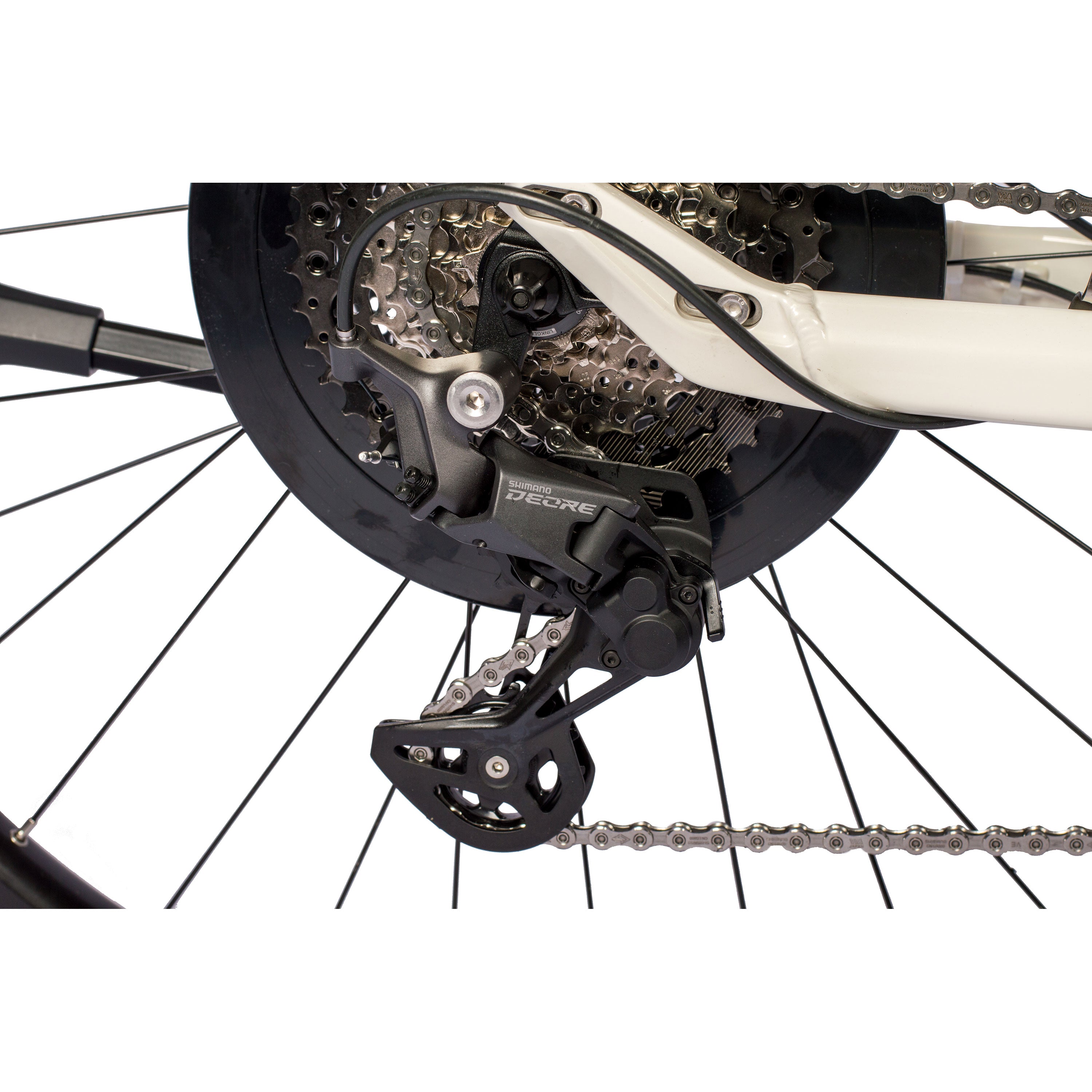 VTronBoschRDLady2024_3000_7j9aemZIVqyOio