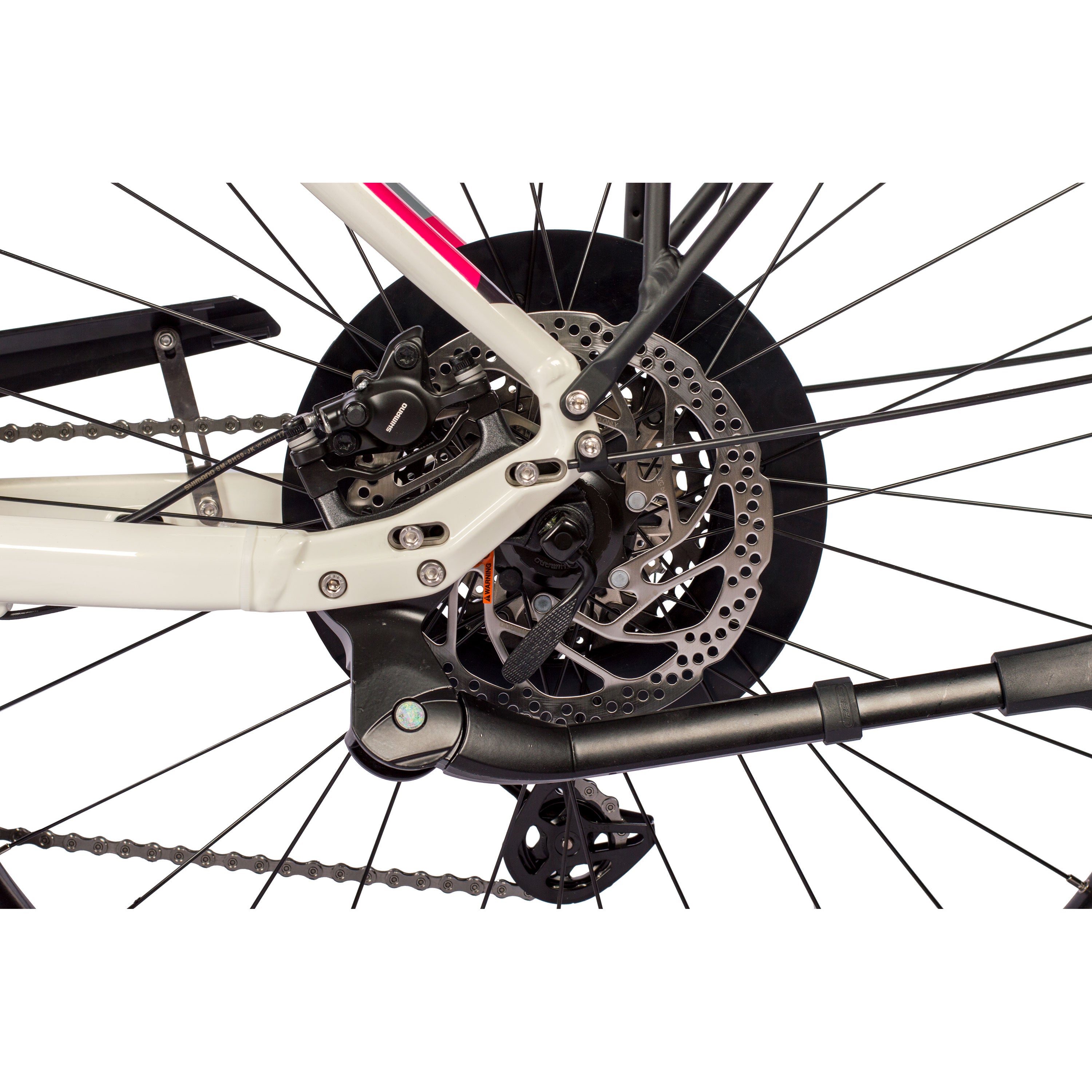 VTronBoschRDLady2024_3000_9ORnHzjD6eG061