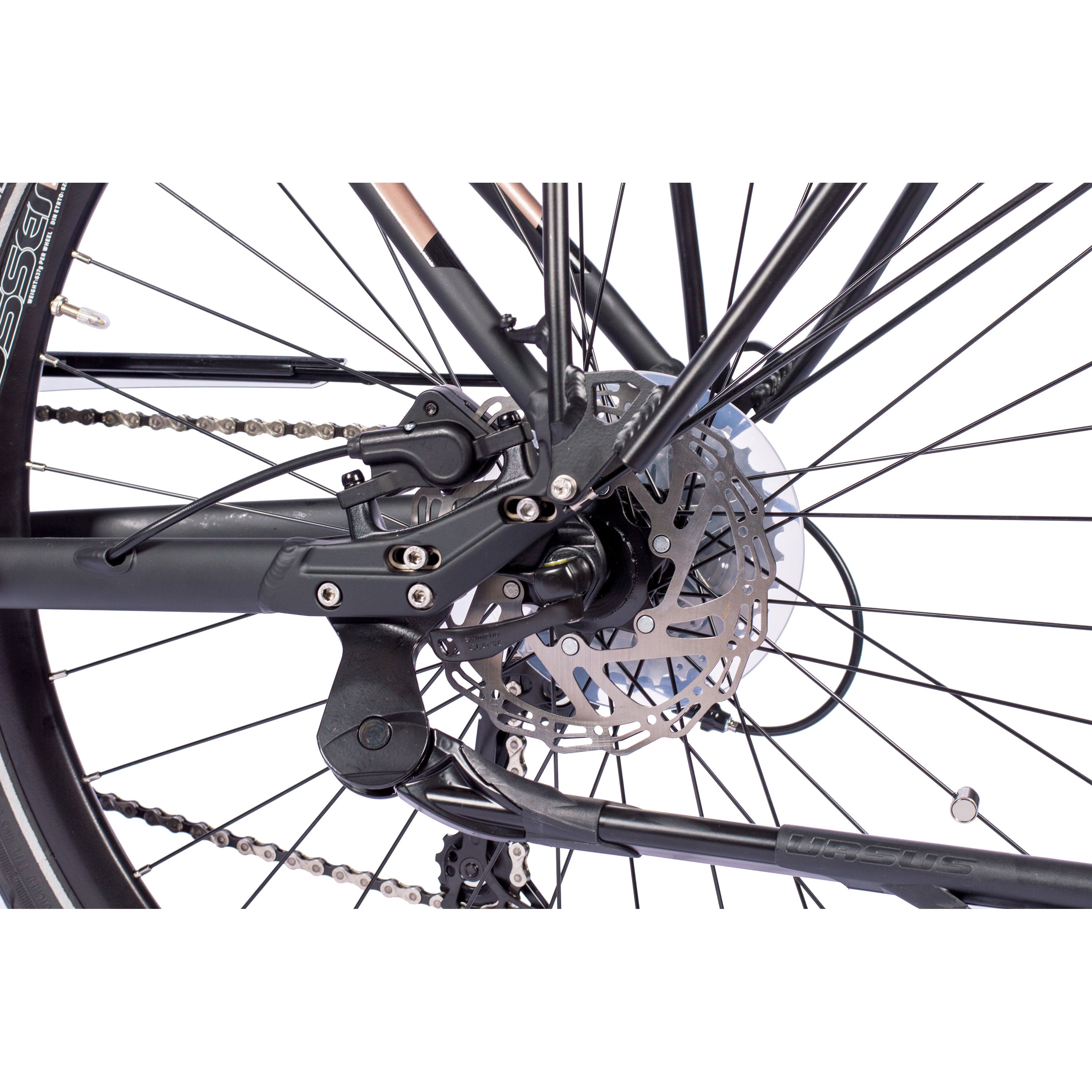 VTronStepsRDLS2024_3000_14