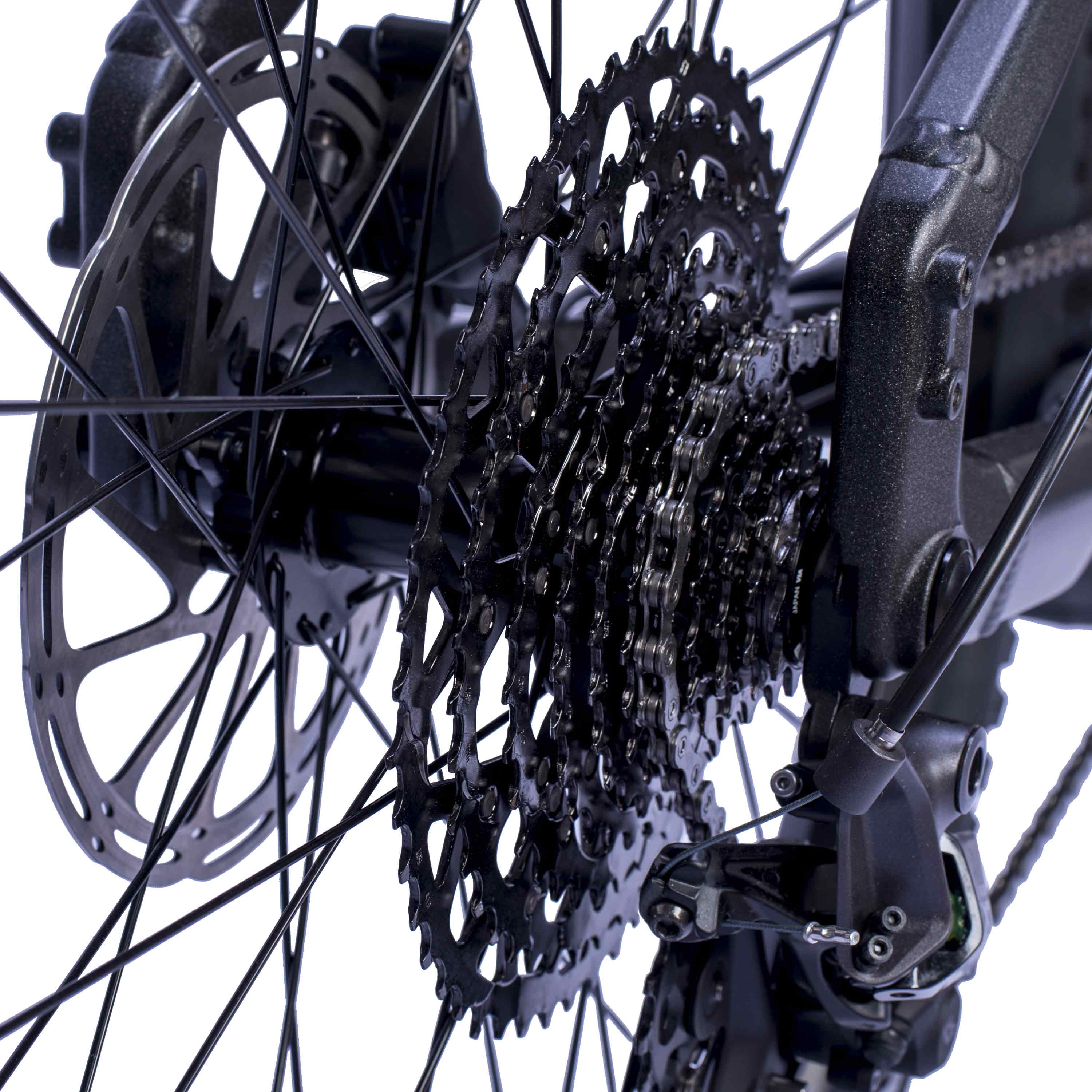 29" Herren E-MTB STREAMER CX11 BOSCH PERFORMANCE LINE CX GEN 5 Smart System POWERTUBE 600 Wh 11 x GANG SHIMANO XT RD-M8310 Schwarz