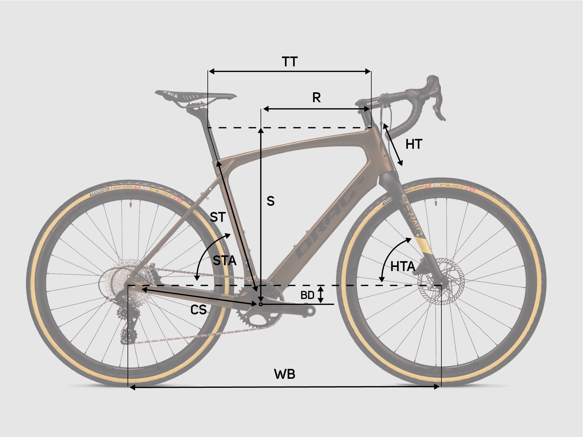 28 pouces hommes de gravier vélo carbone sterrato cf vélo 13 x gang campagniolo ekar 1 × 13